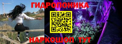 винт Обь