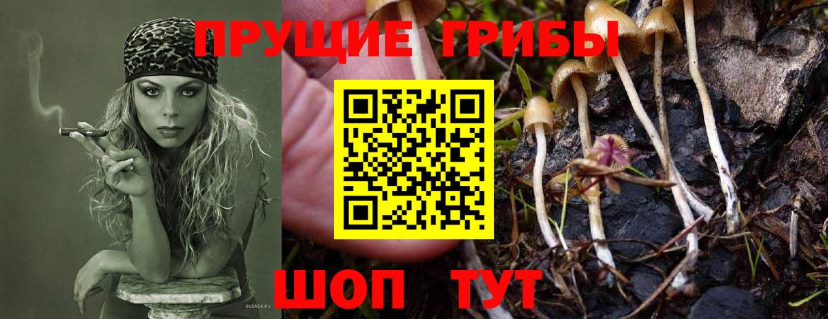 Галлюциногенные грибы мухоморы  Вход с VPN  Евпатория 